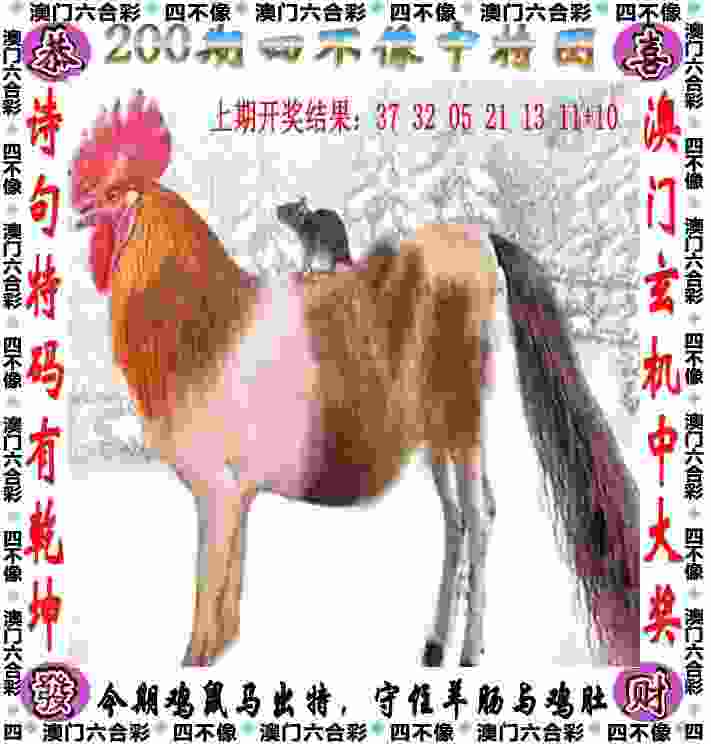 半岛V视｜新援亮相，决胜“篮”天！青岛男篮新赛季出征，目标直指季后赛